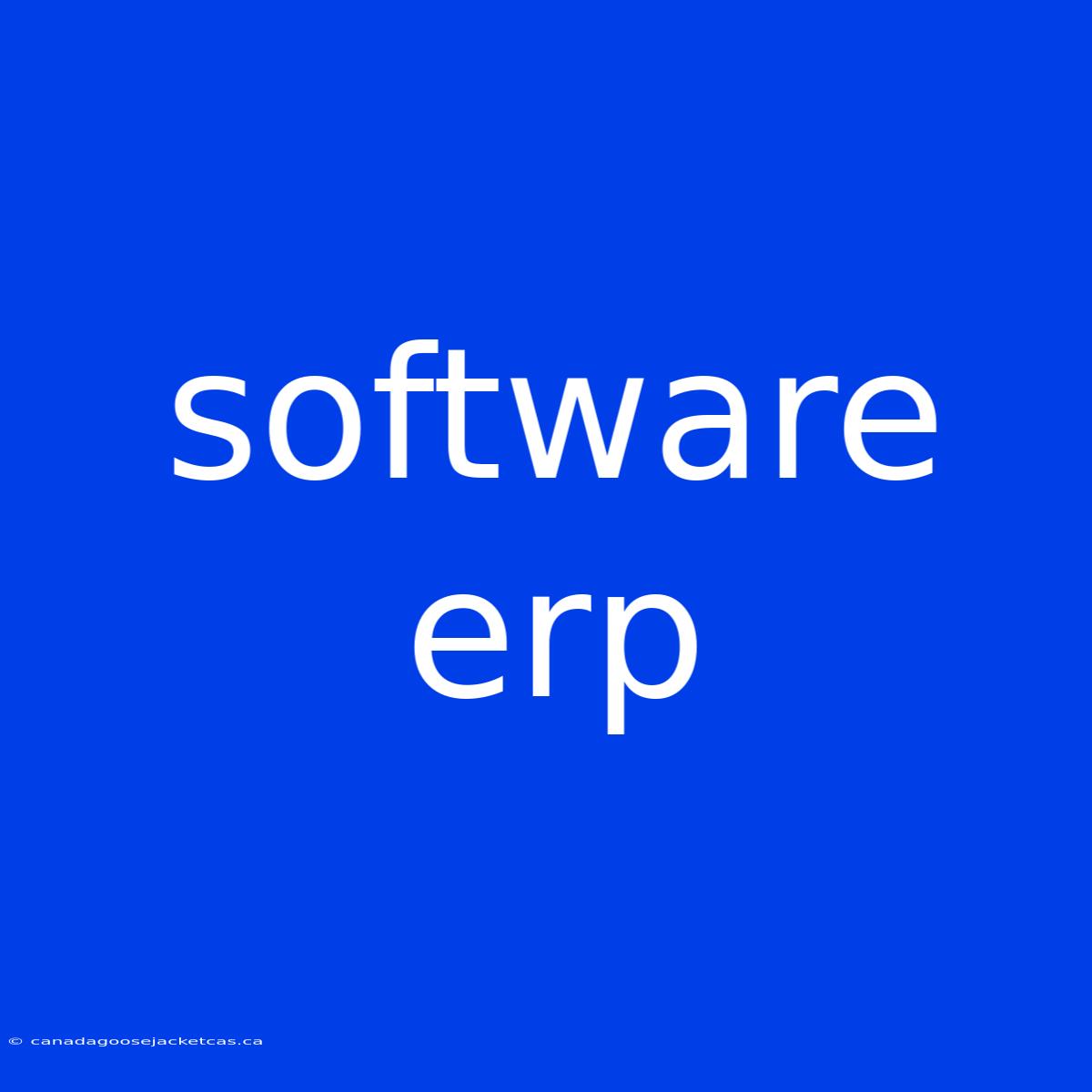 Software Erp