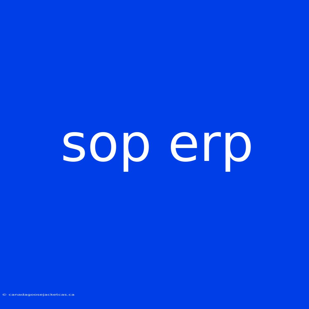 Sop Erp