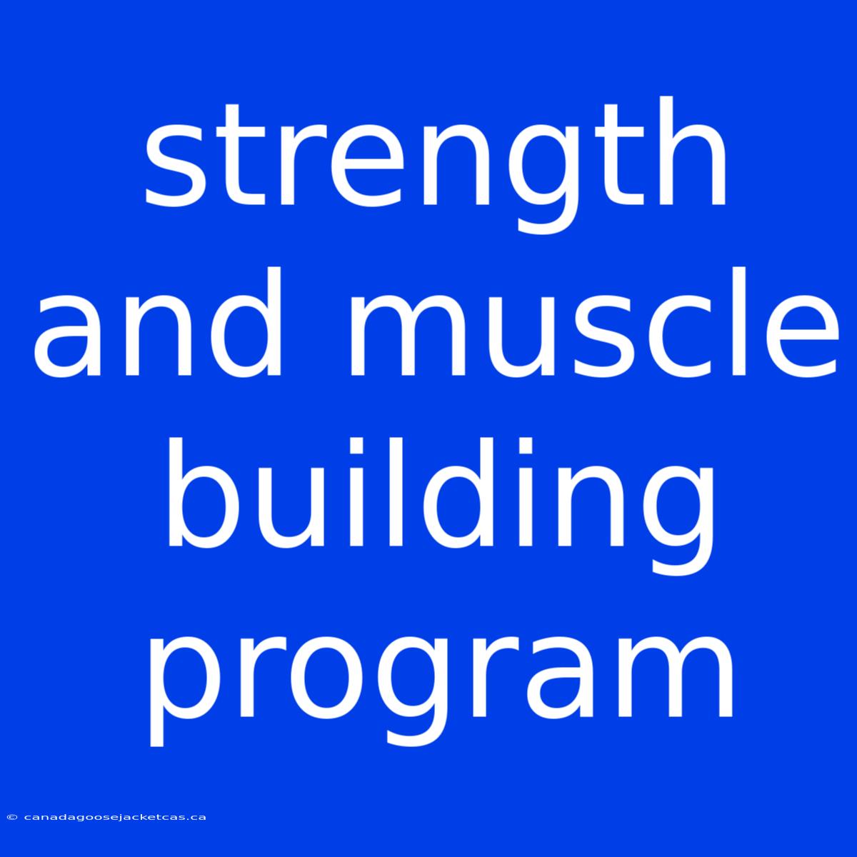 Strength And Muscle Building Program