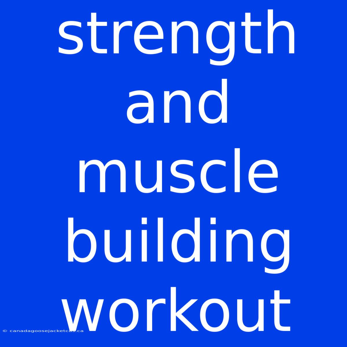 Strength And Muscle Building Workout