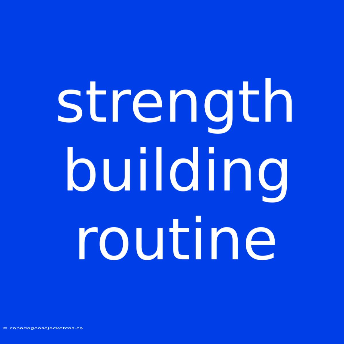 Strength Building Routine