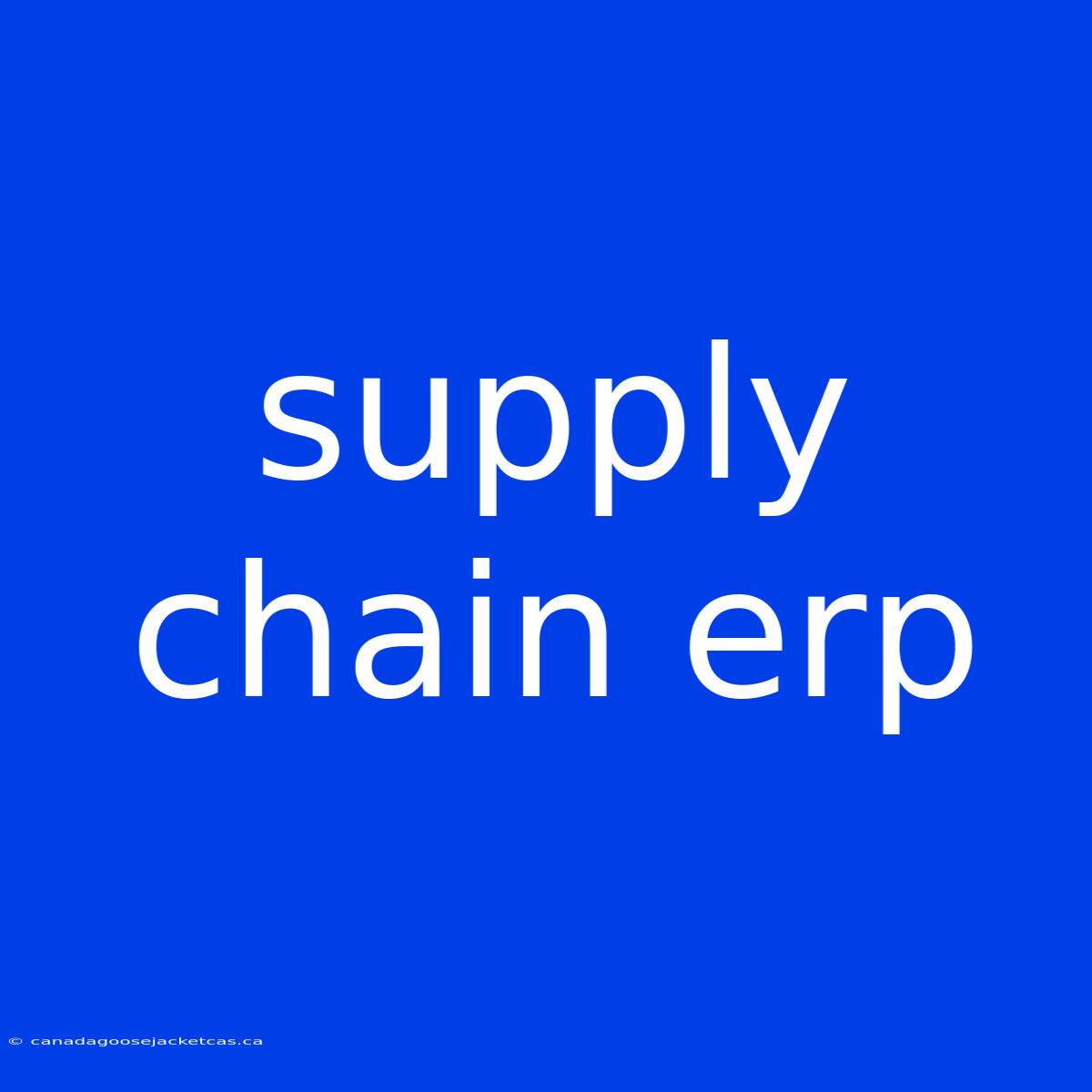 Supply Chain Erp