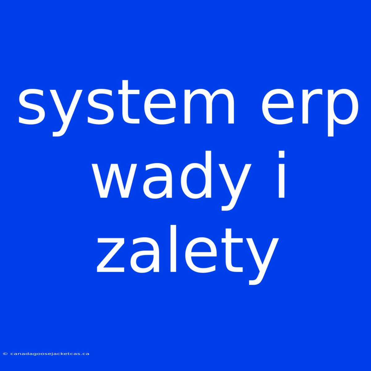 System Erp Wady I Zalety