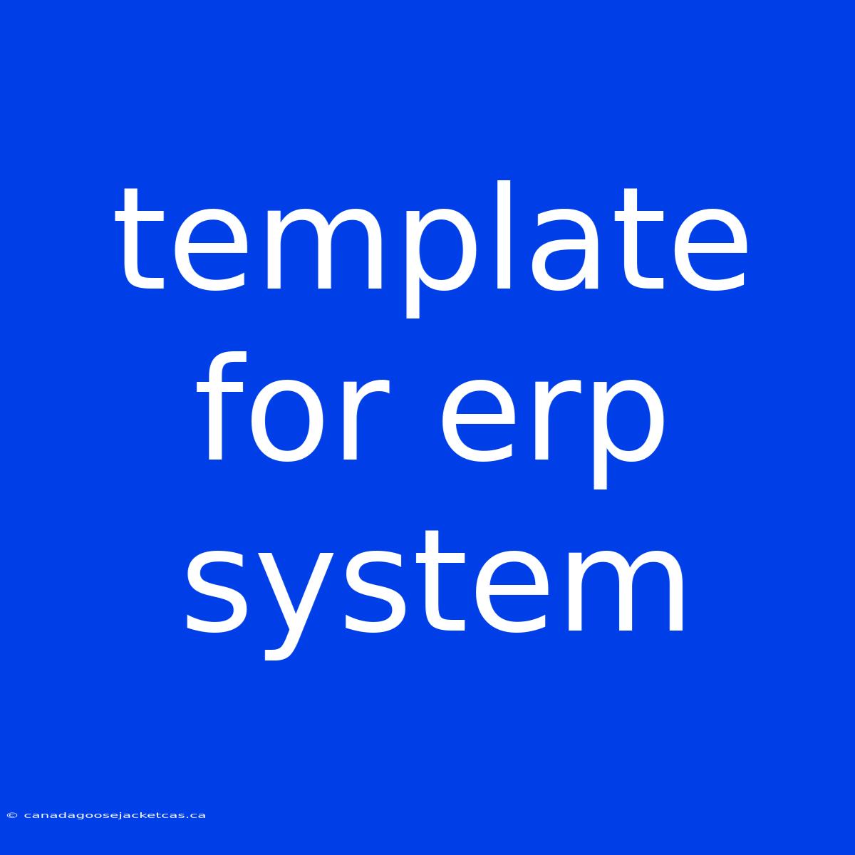 Template For Erp System