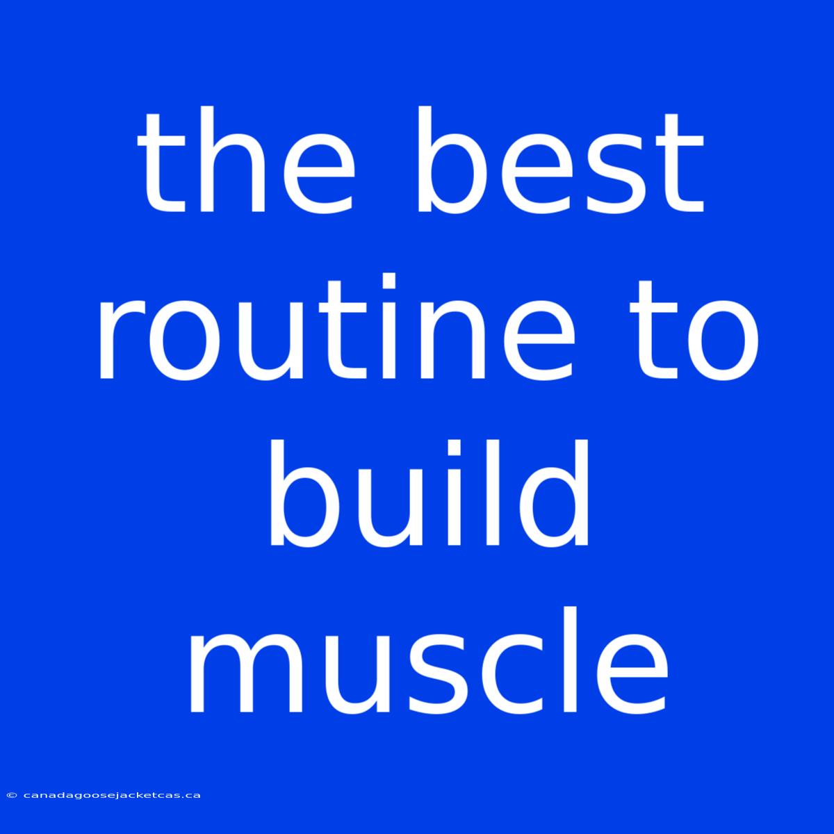 The Best Routine To Build Muscle