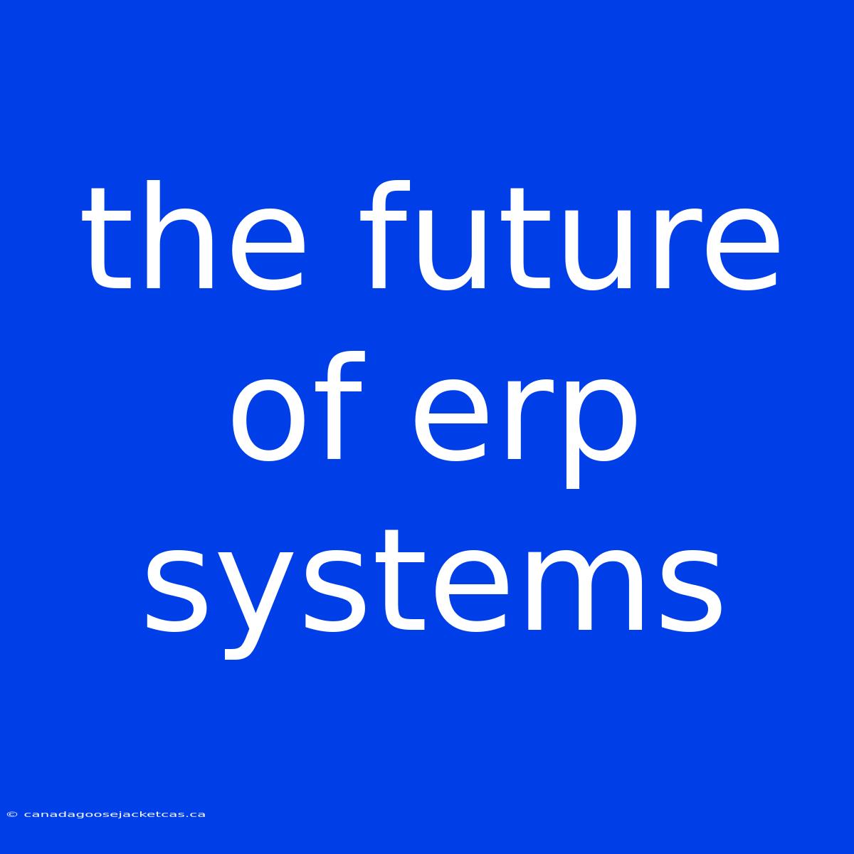 The Future Of Erp Systems