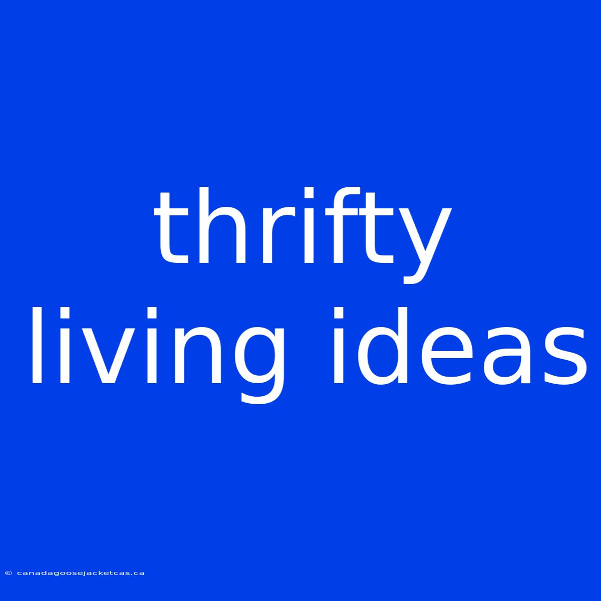 Thrifty Living Ideas