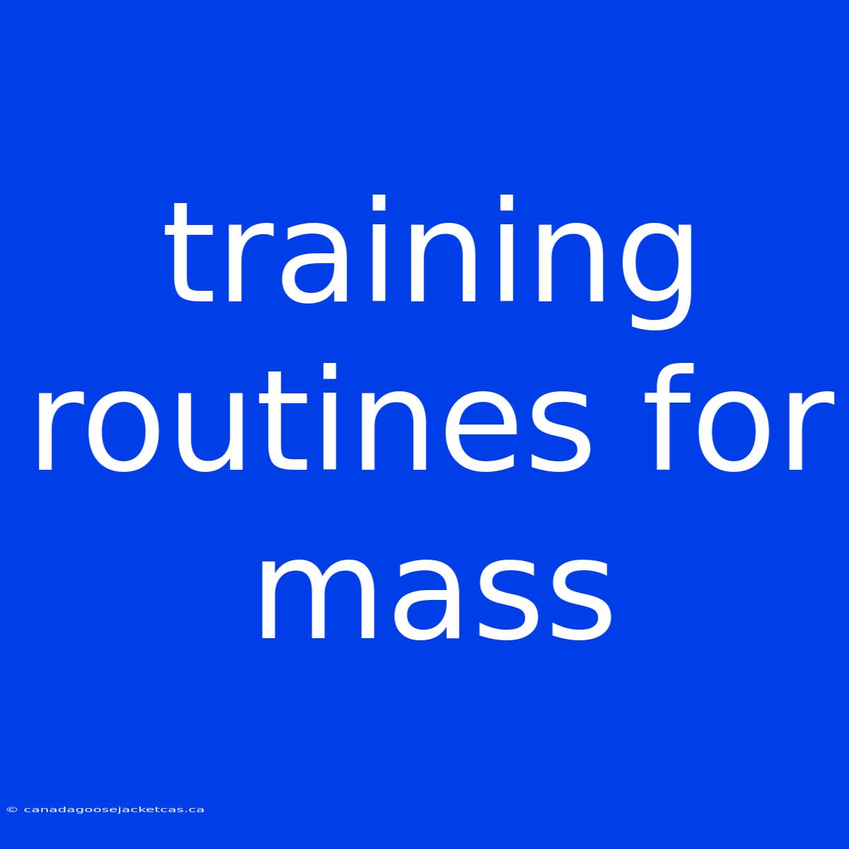 Training Routines For Mass