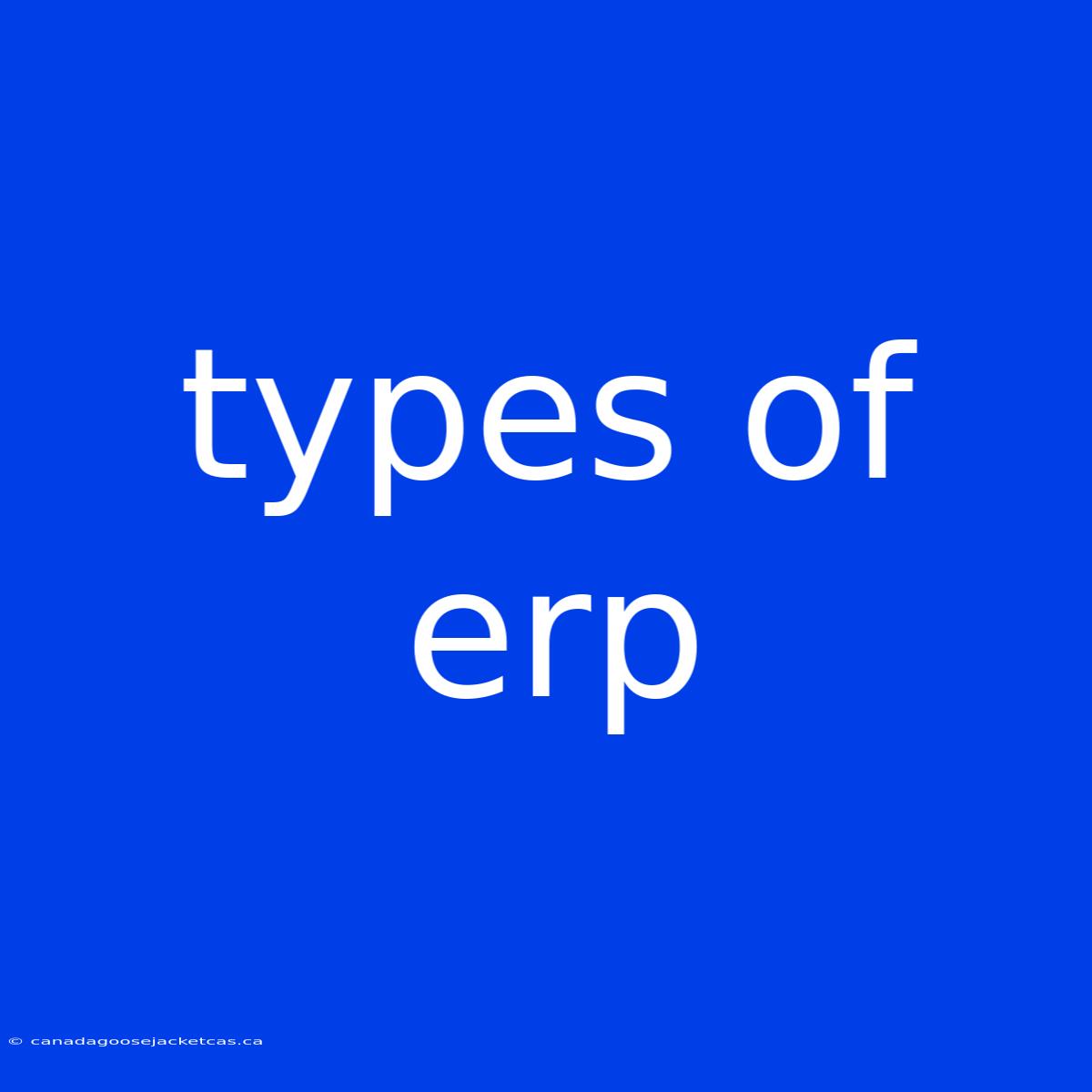 Types Of Erp