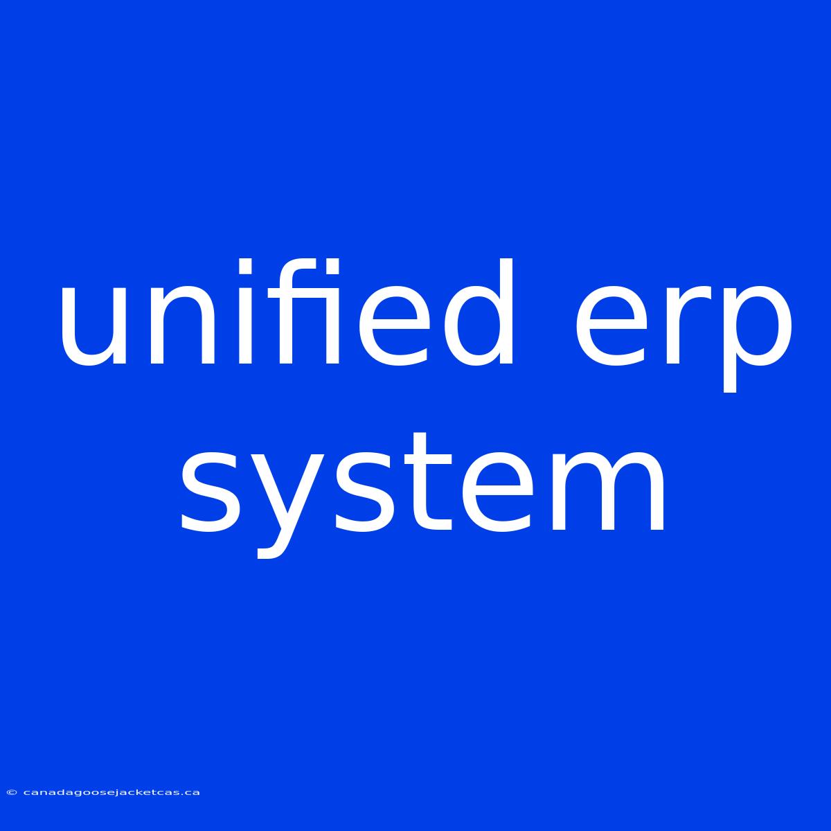 Unified Erp System