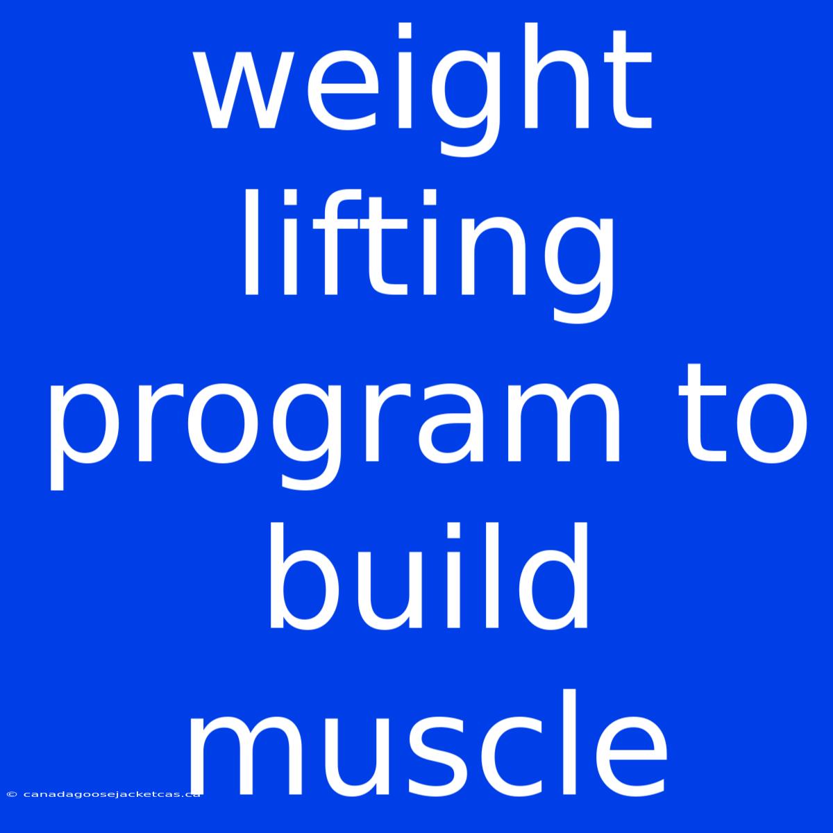 Weight Lifting Program To Build Muscle