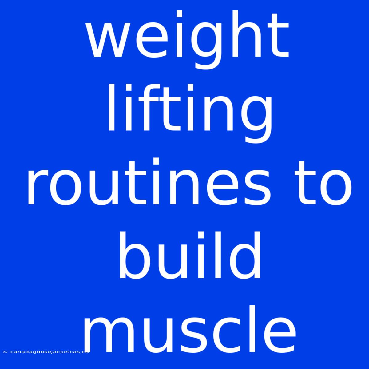 Weight Lifting Routines To Build Muscle