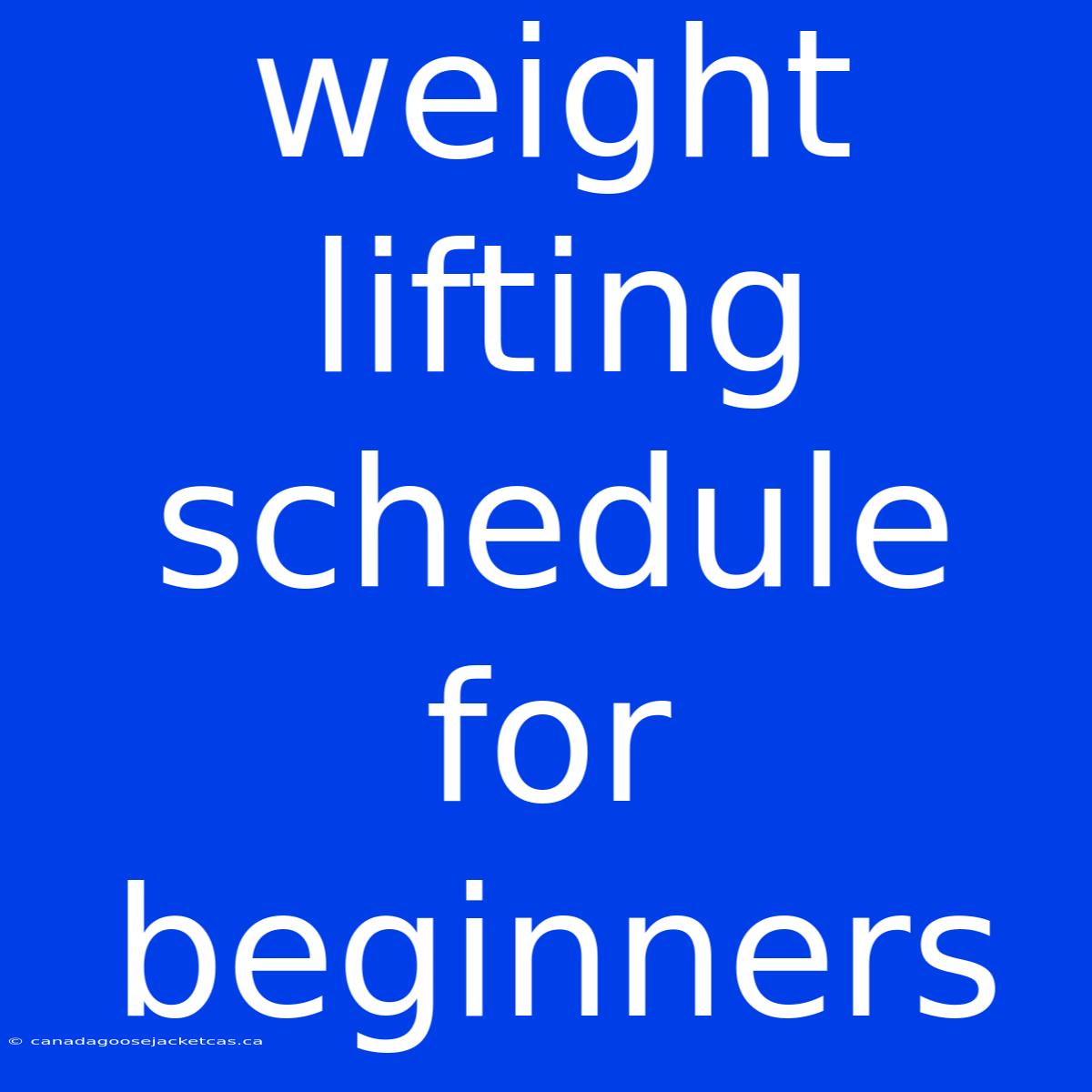 Weight Lifting Schedule For Beginners