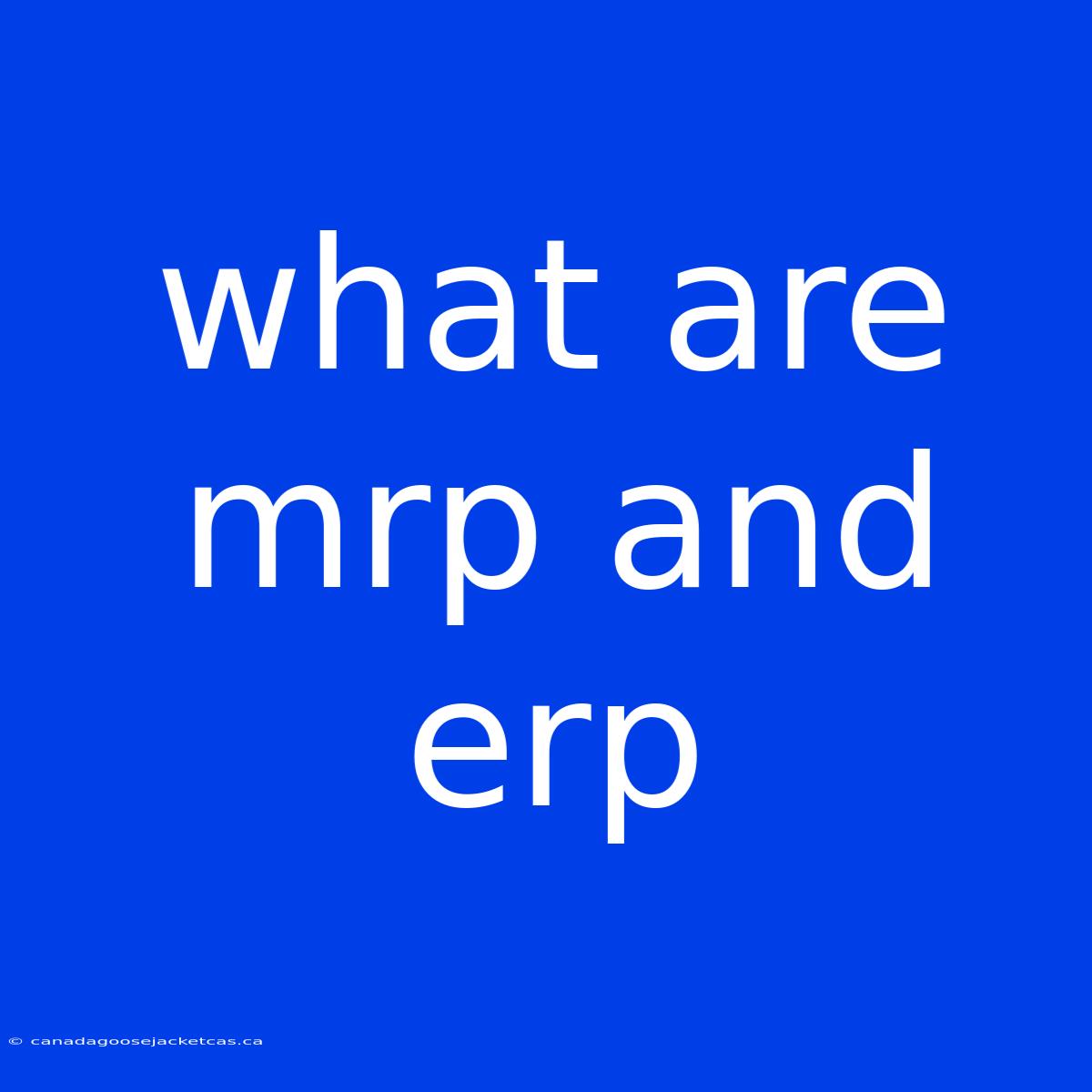 What Are Mrp And Erp