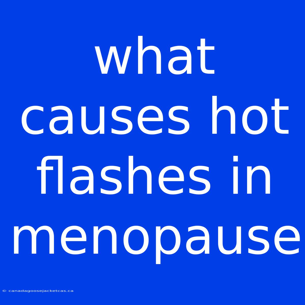 What Causes Hot Flashes In Menopause