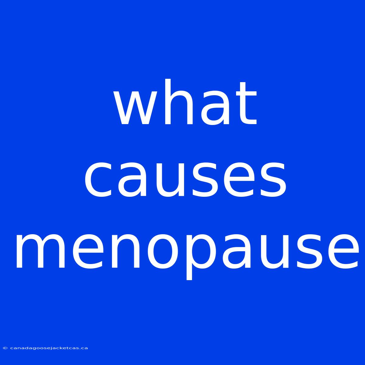 What Causes Menopause