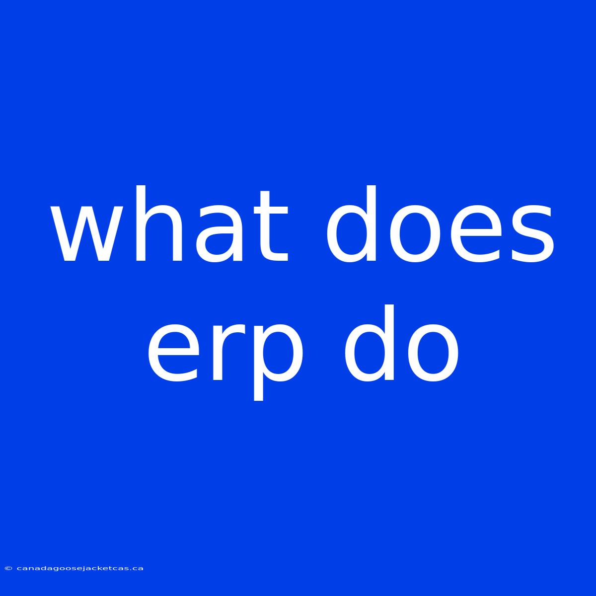 What Does Erp Do