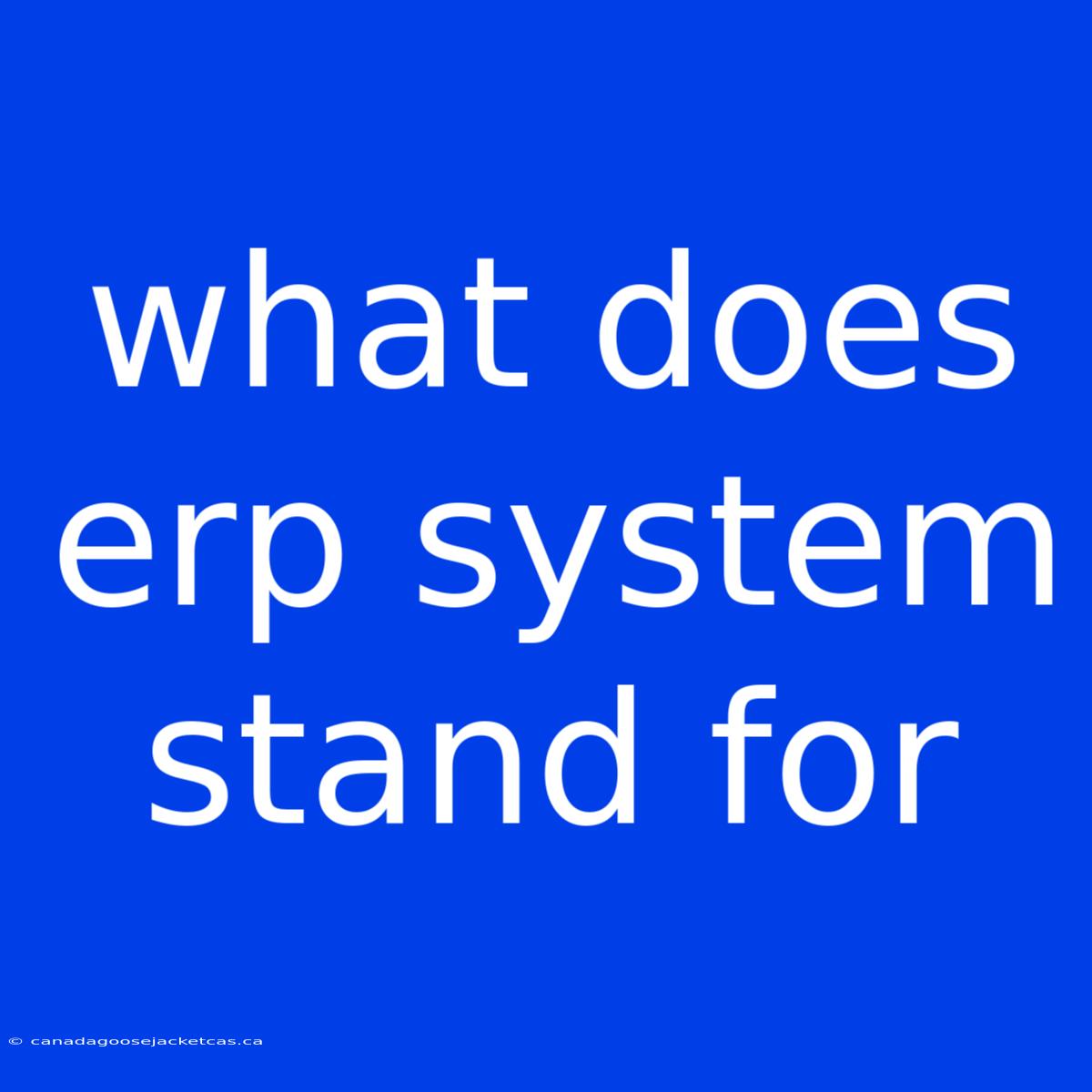 What Does Erp System Stand For