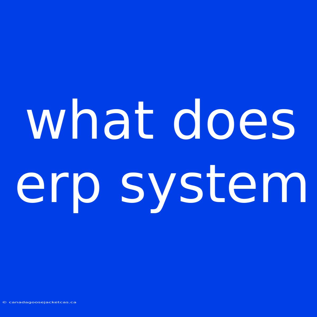 What Does Erp System