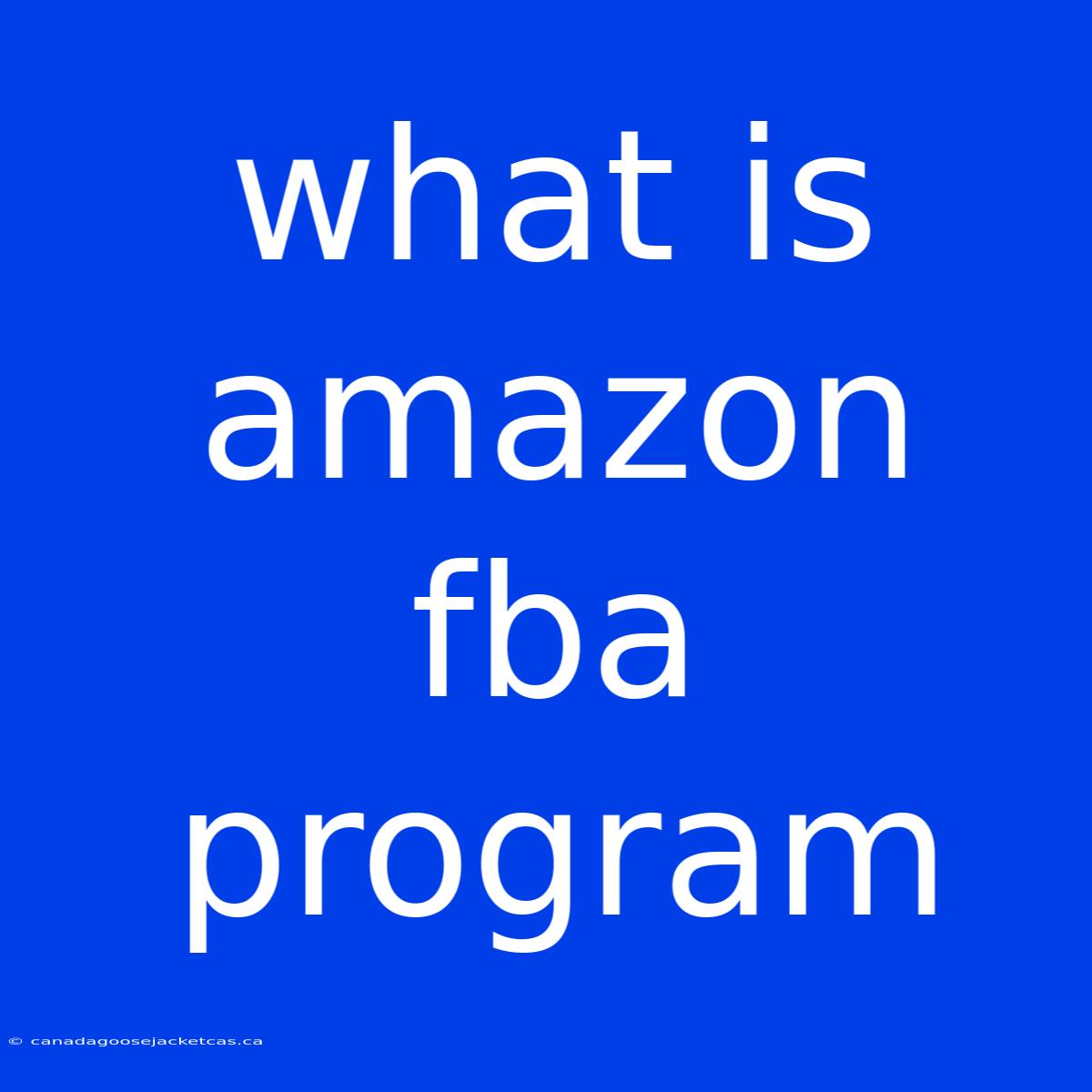 What Is Amazon Fba Program