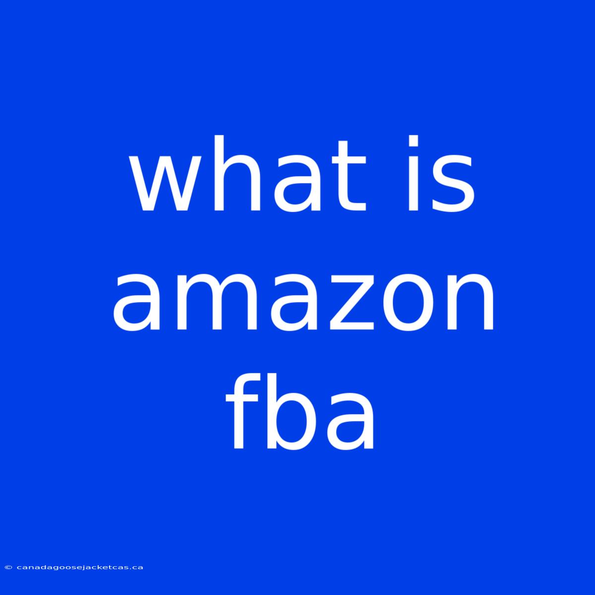 What Is Amazon Fba