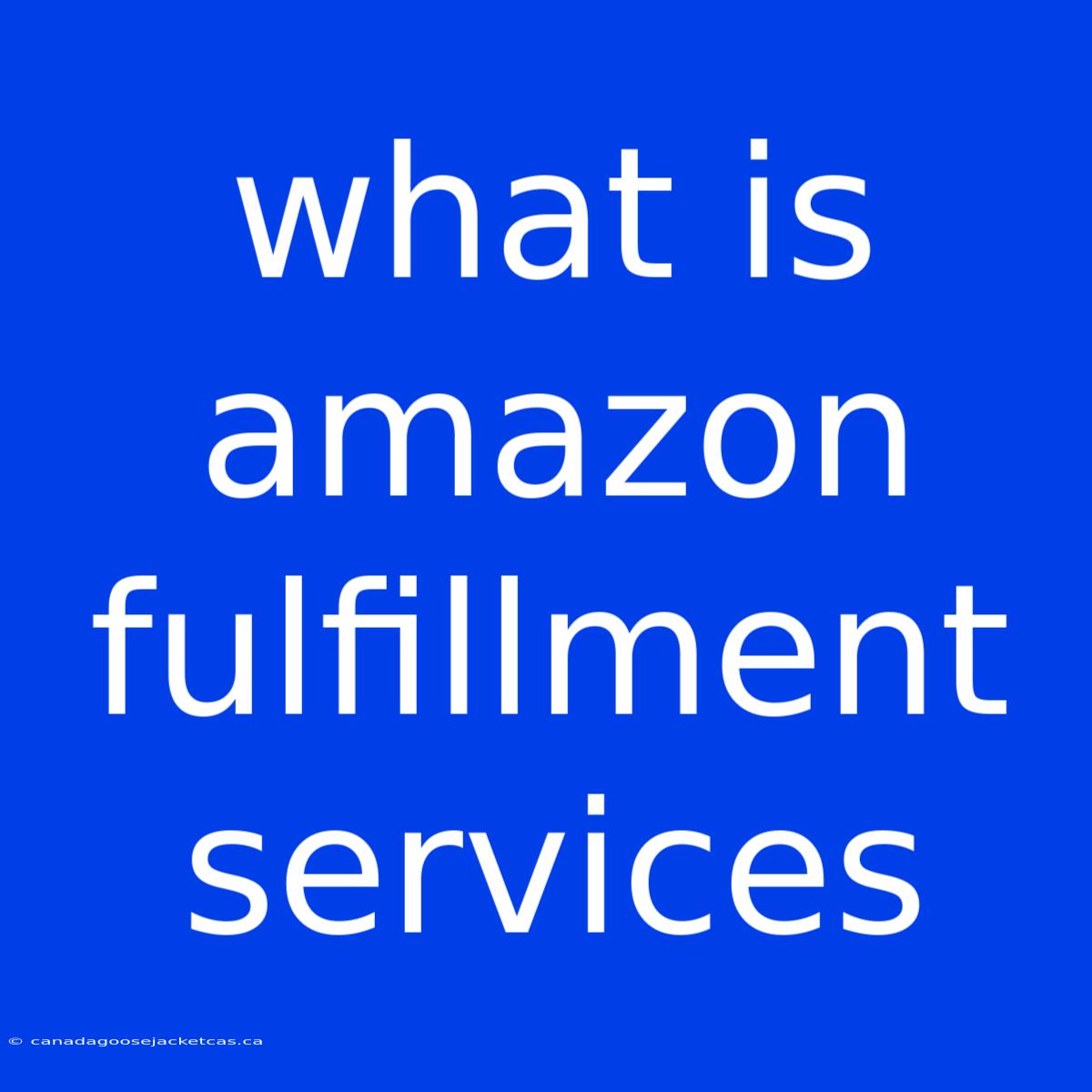 What Is Amazon Fulfillment Services