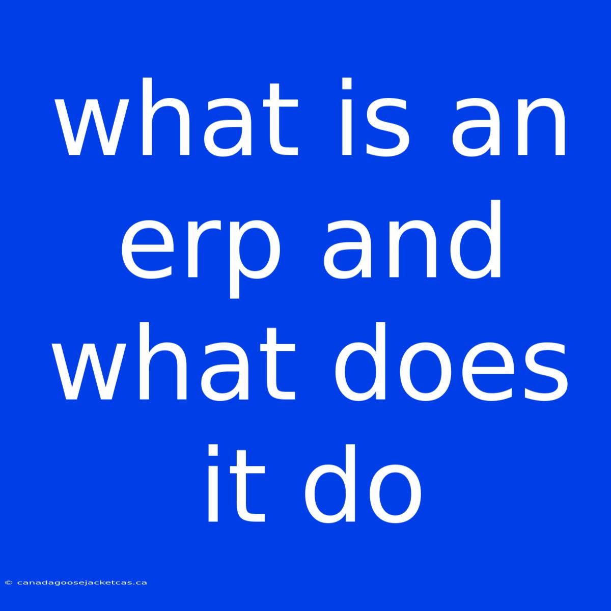 What Is An Erp And What Does It Do