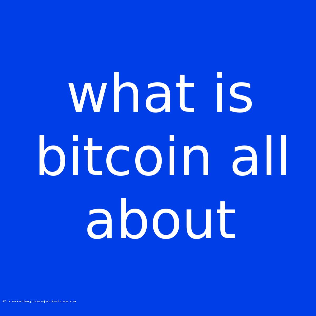 What Is Bitcoin All About