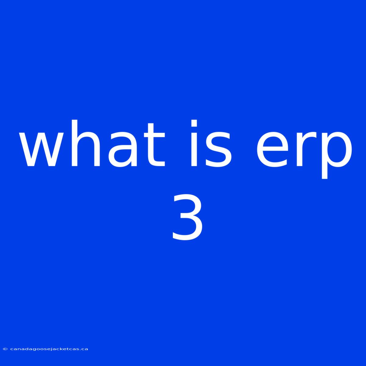 What Is Erp 3