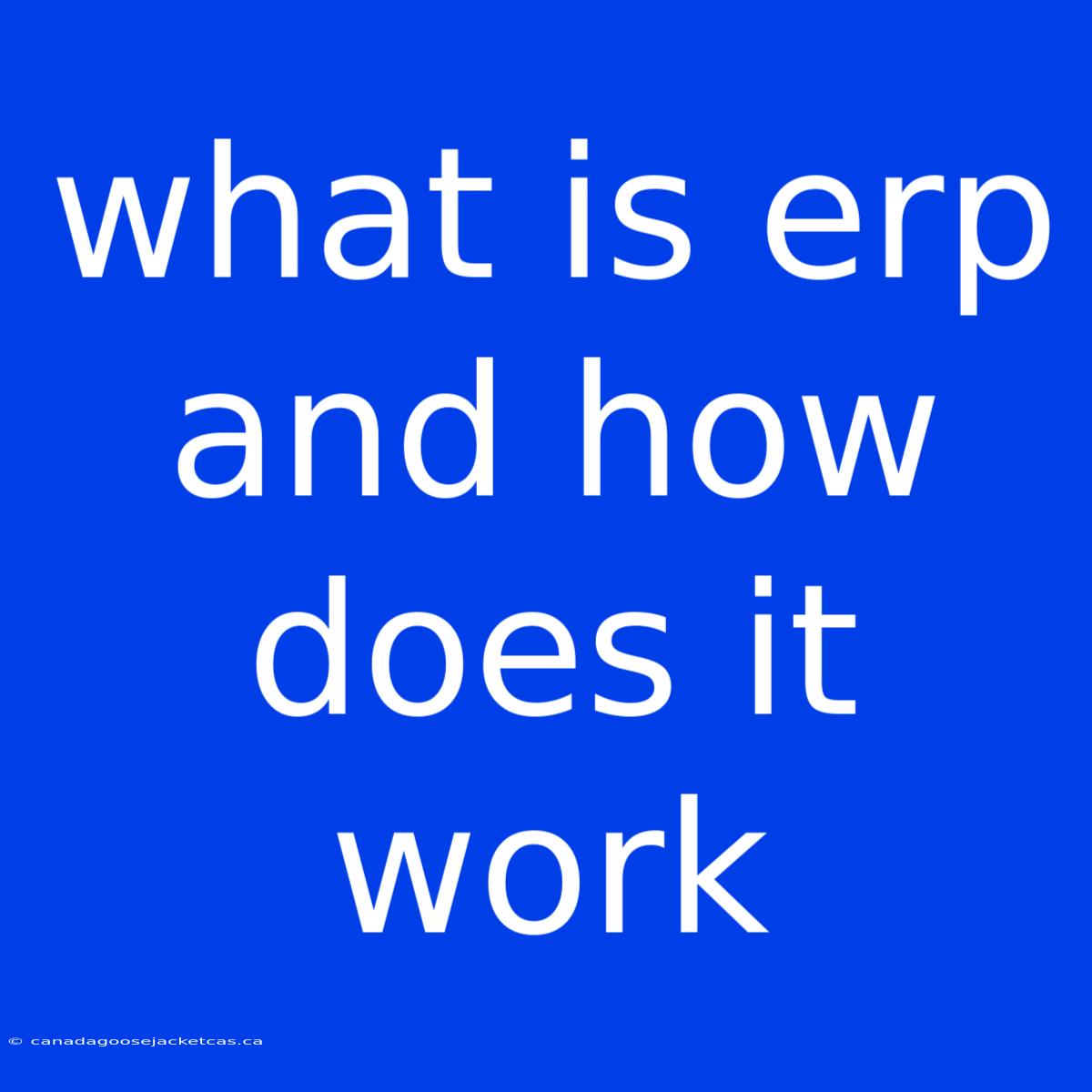 What Is Erp And How Does It Work