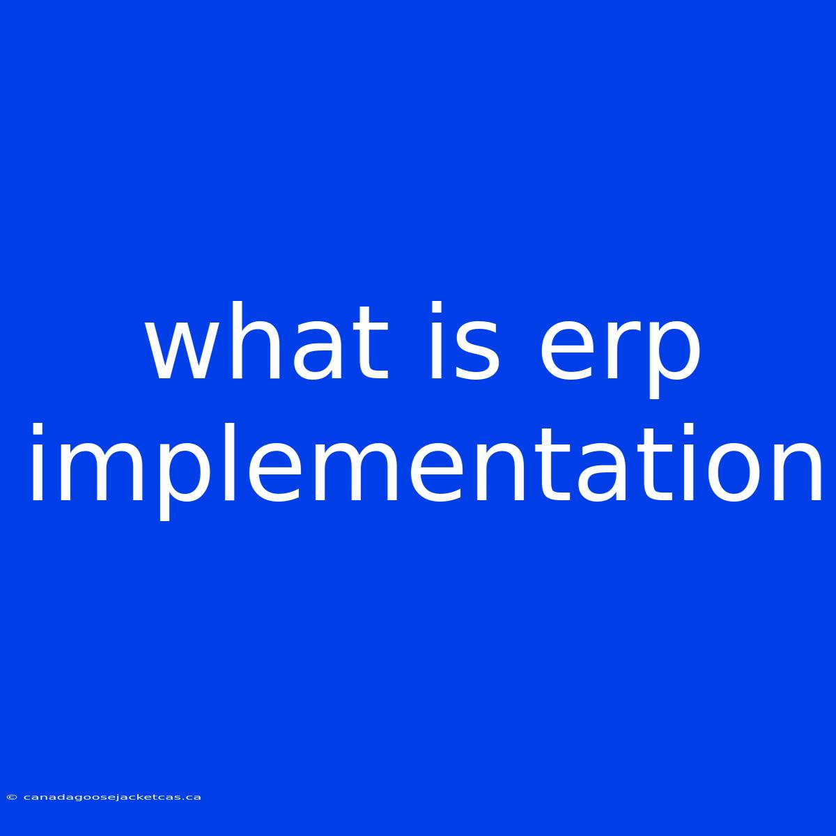 What Is Erp Implementation