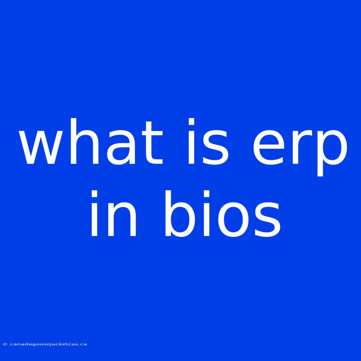 What Is Erp In Bios