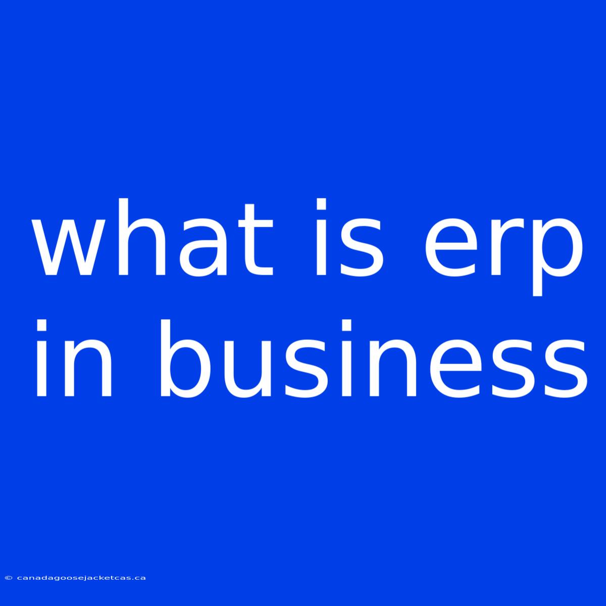 What Is Erp In Business