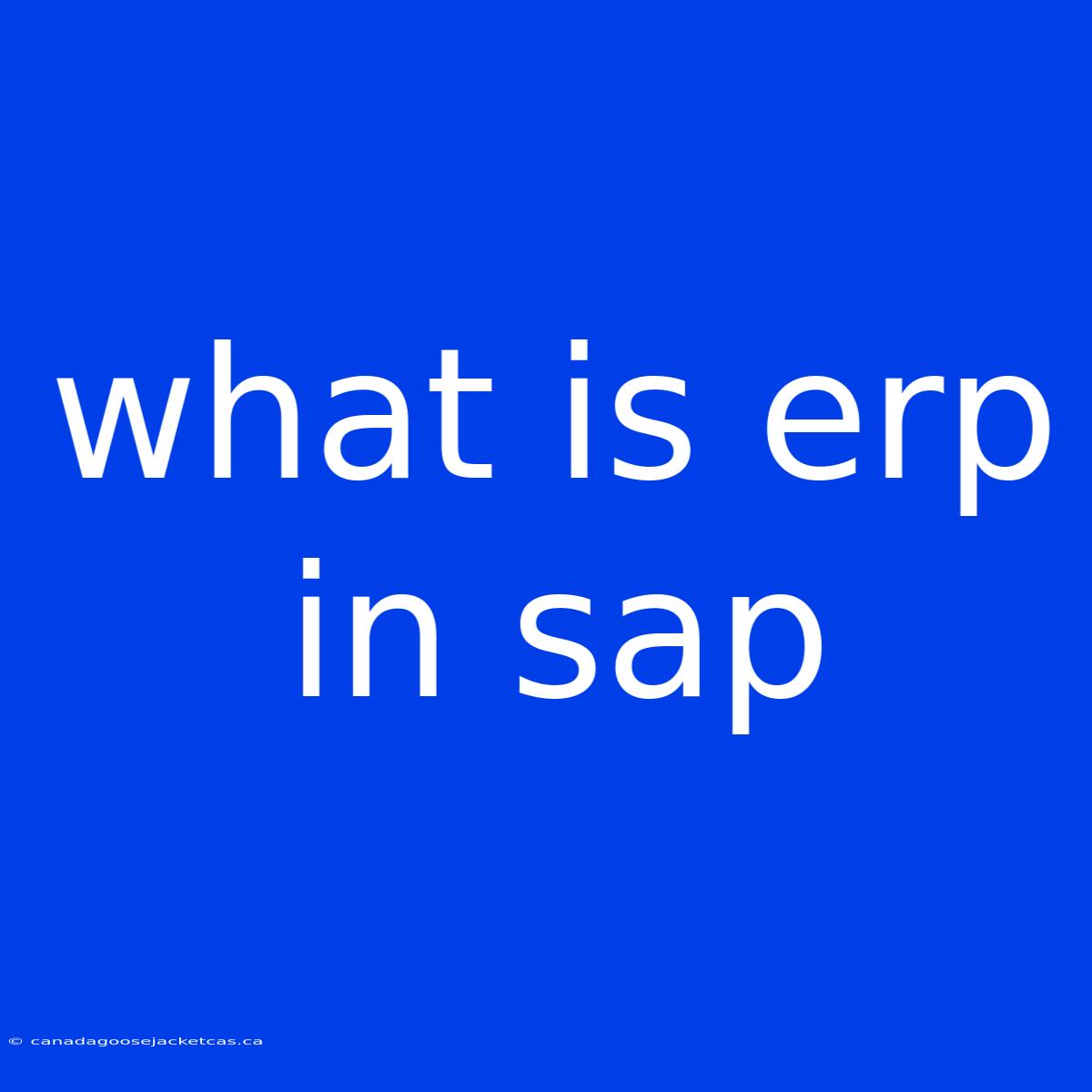 What Is Erp In Sap