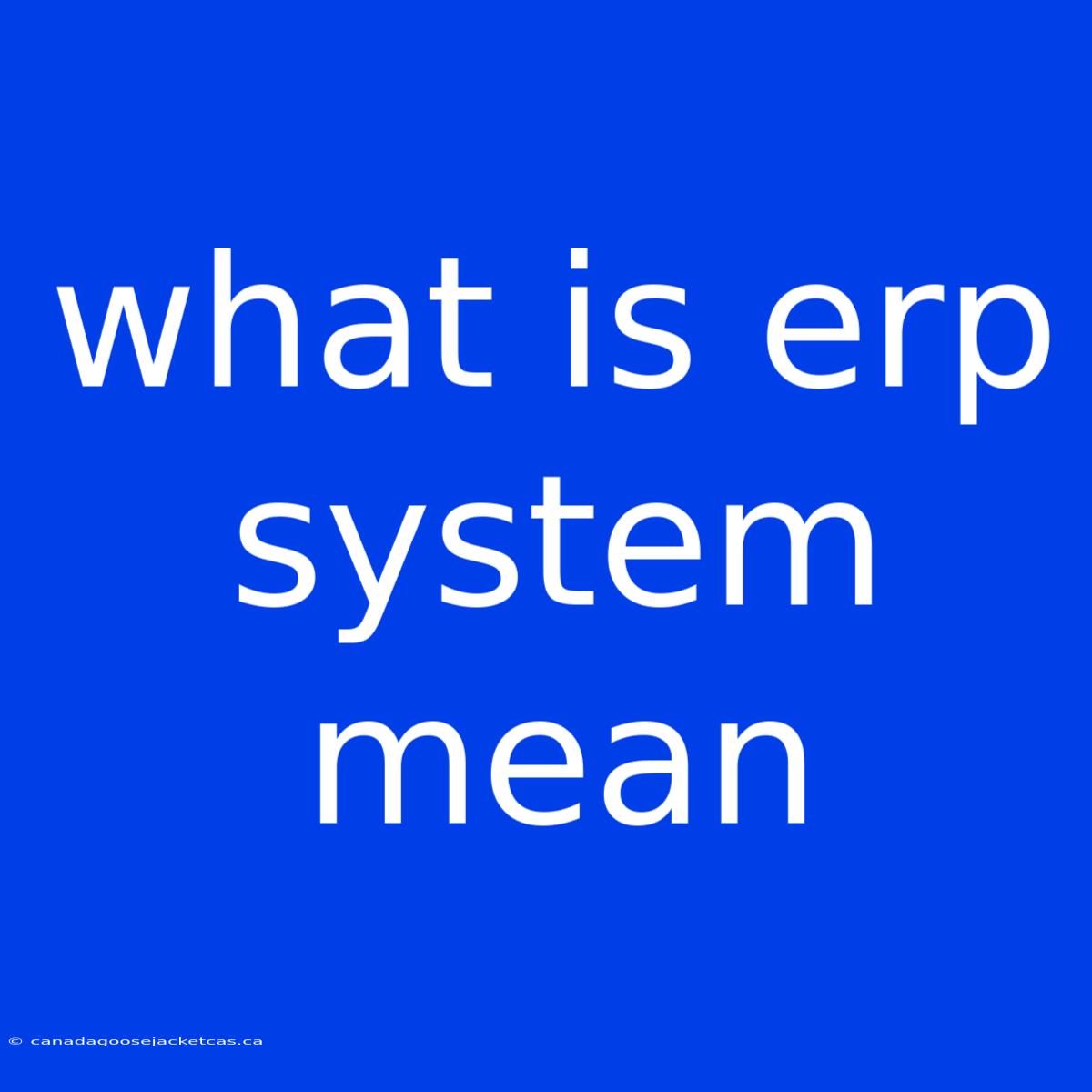 What Is Erp System Mean