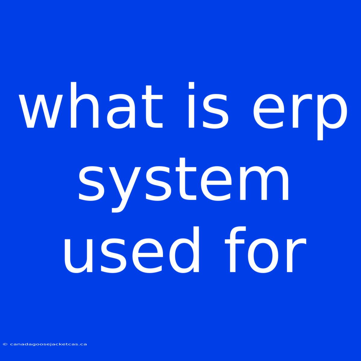 What Is Erp System Used For