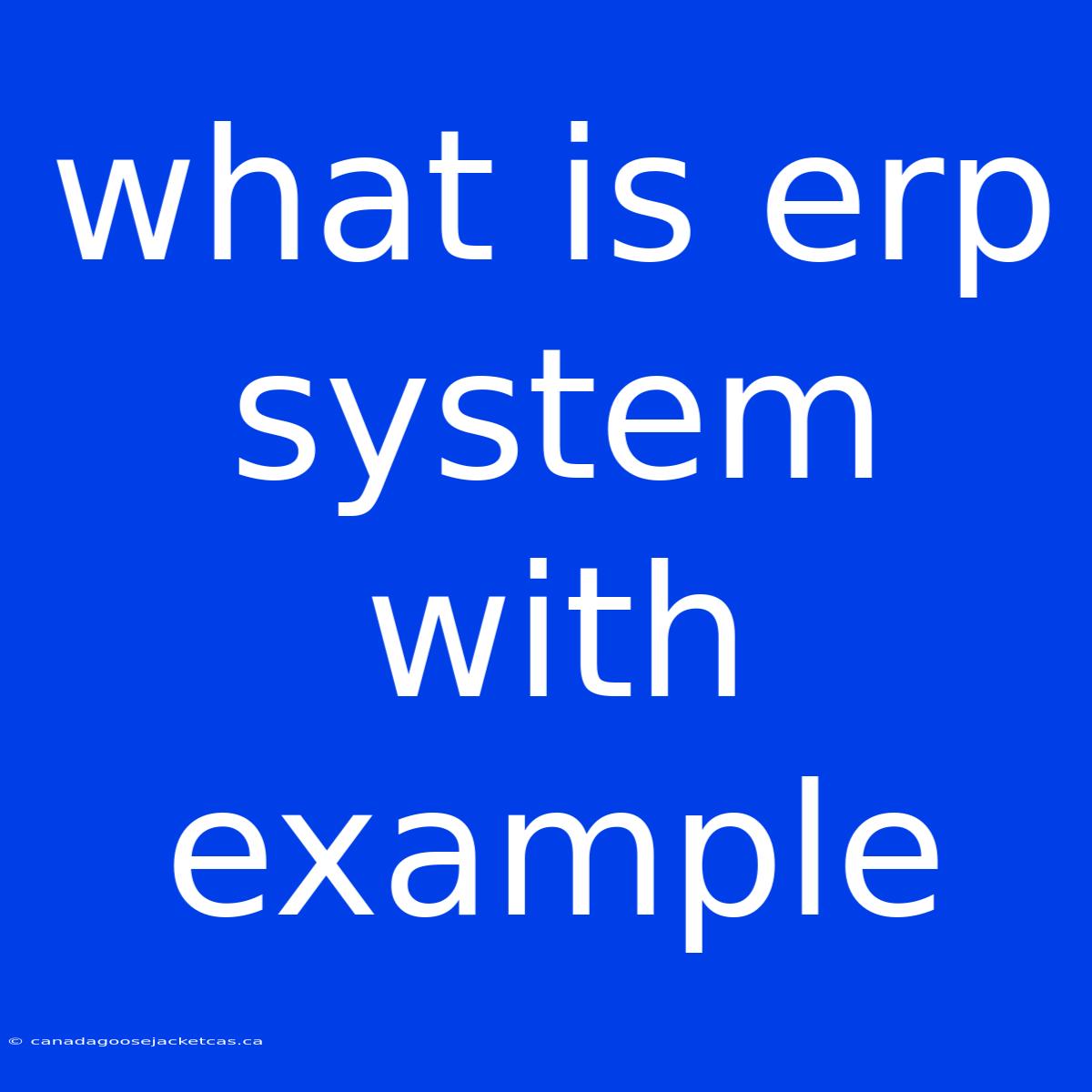 What Is Erp System With Example