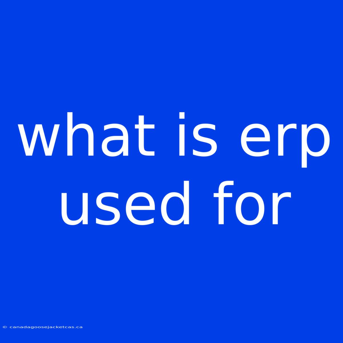 What Is Erp Used For