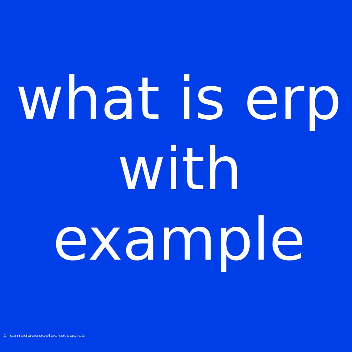 What Is Erp With Example