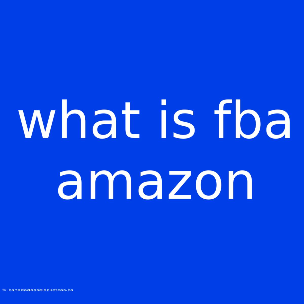 What Is Fba Amazon