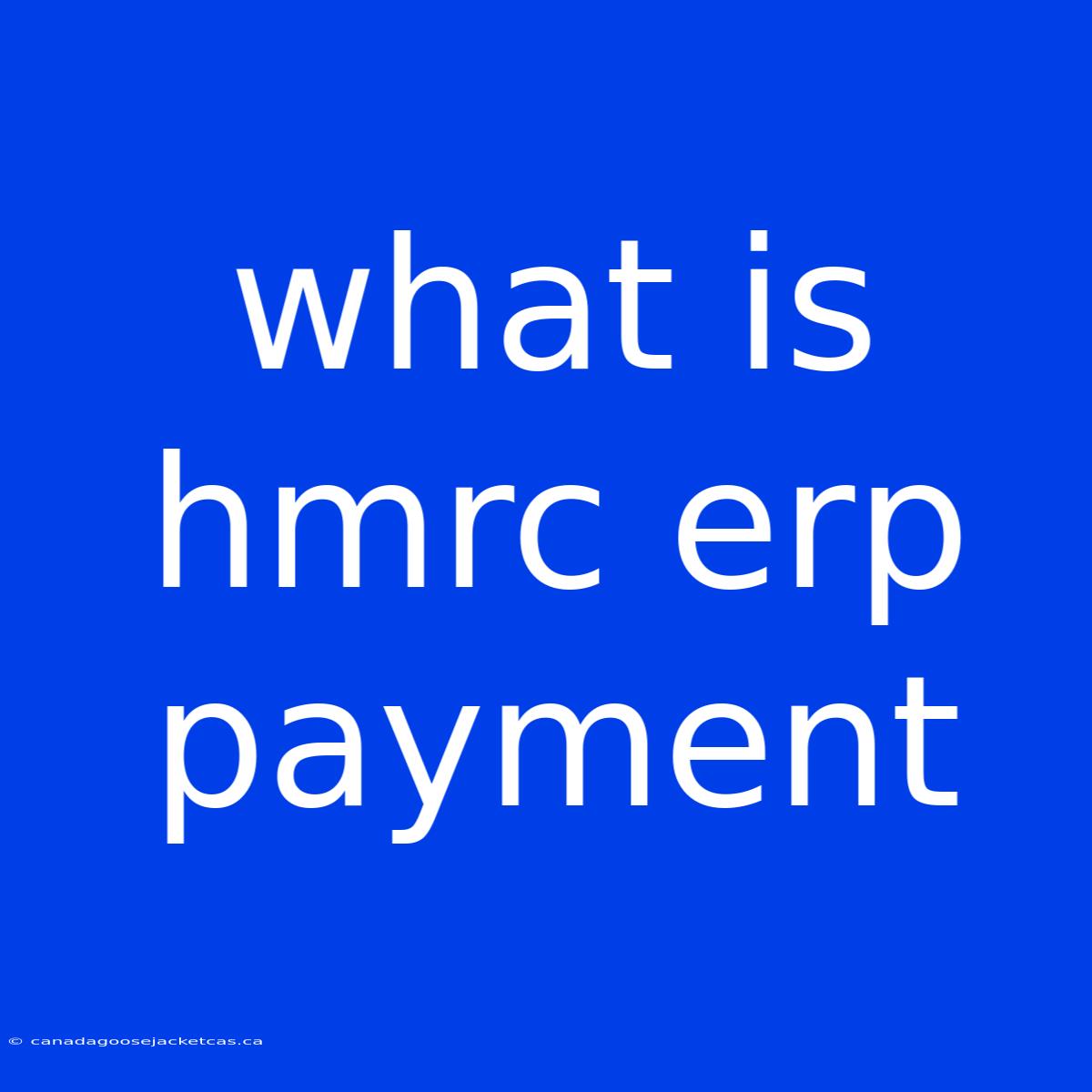 What Is Hmrc Erp Payment