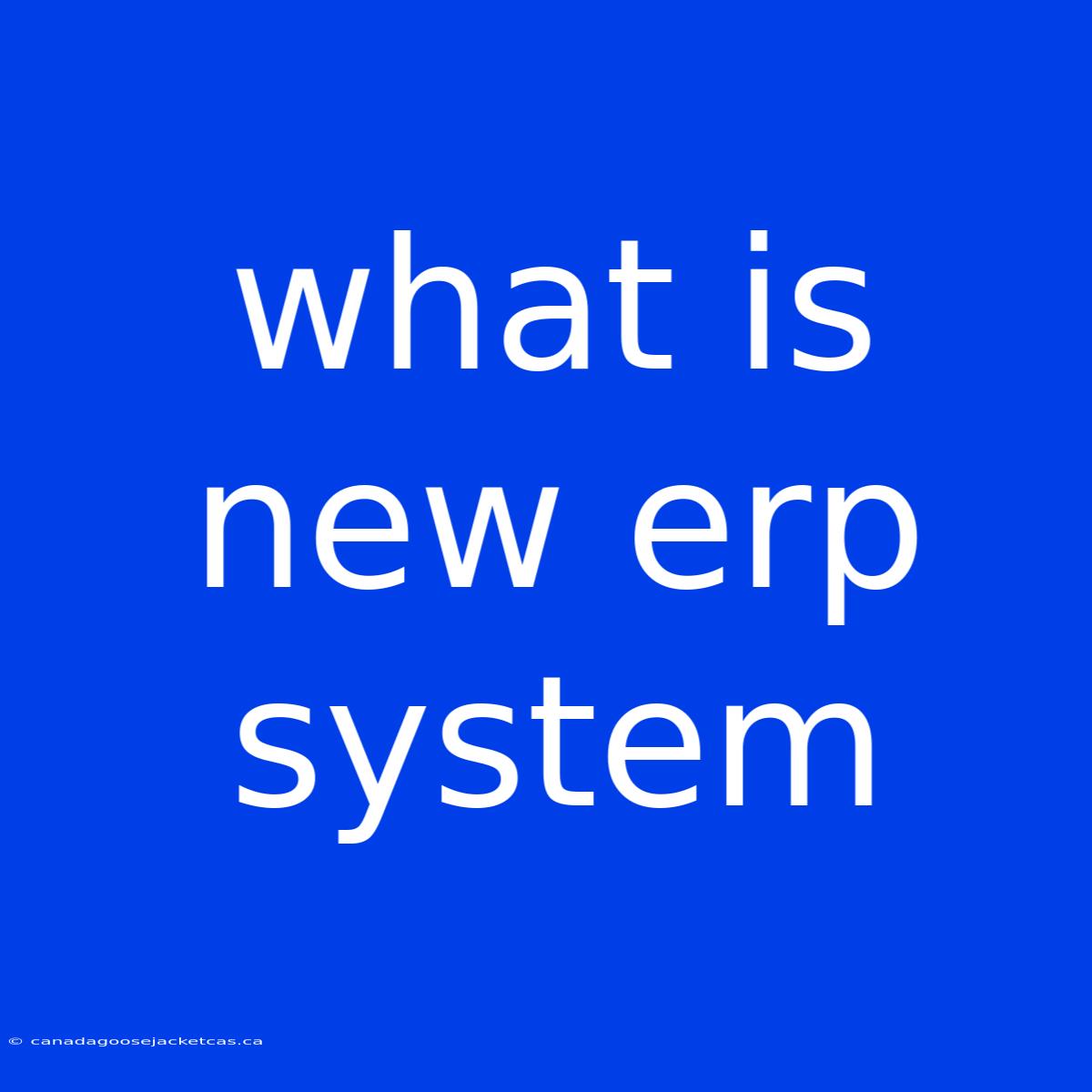 What Is New Erp System