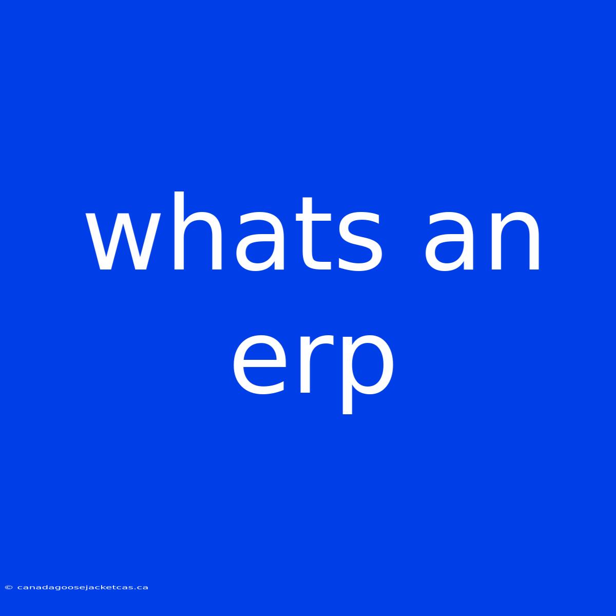 Whats An Erp