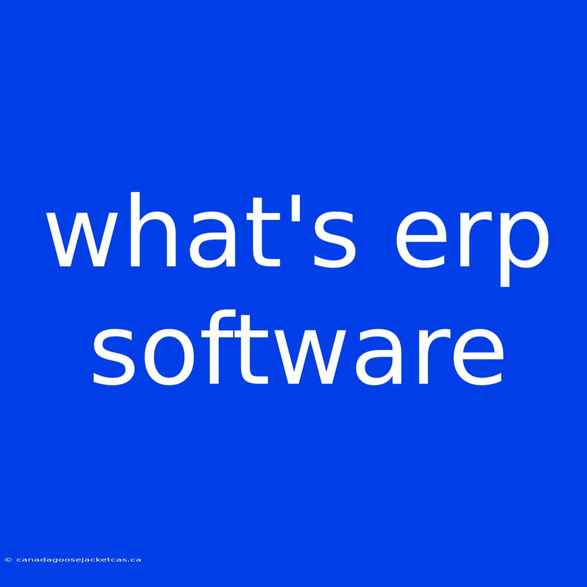 What's Erp Software