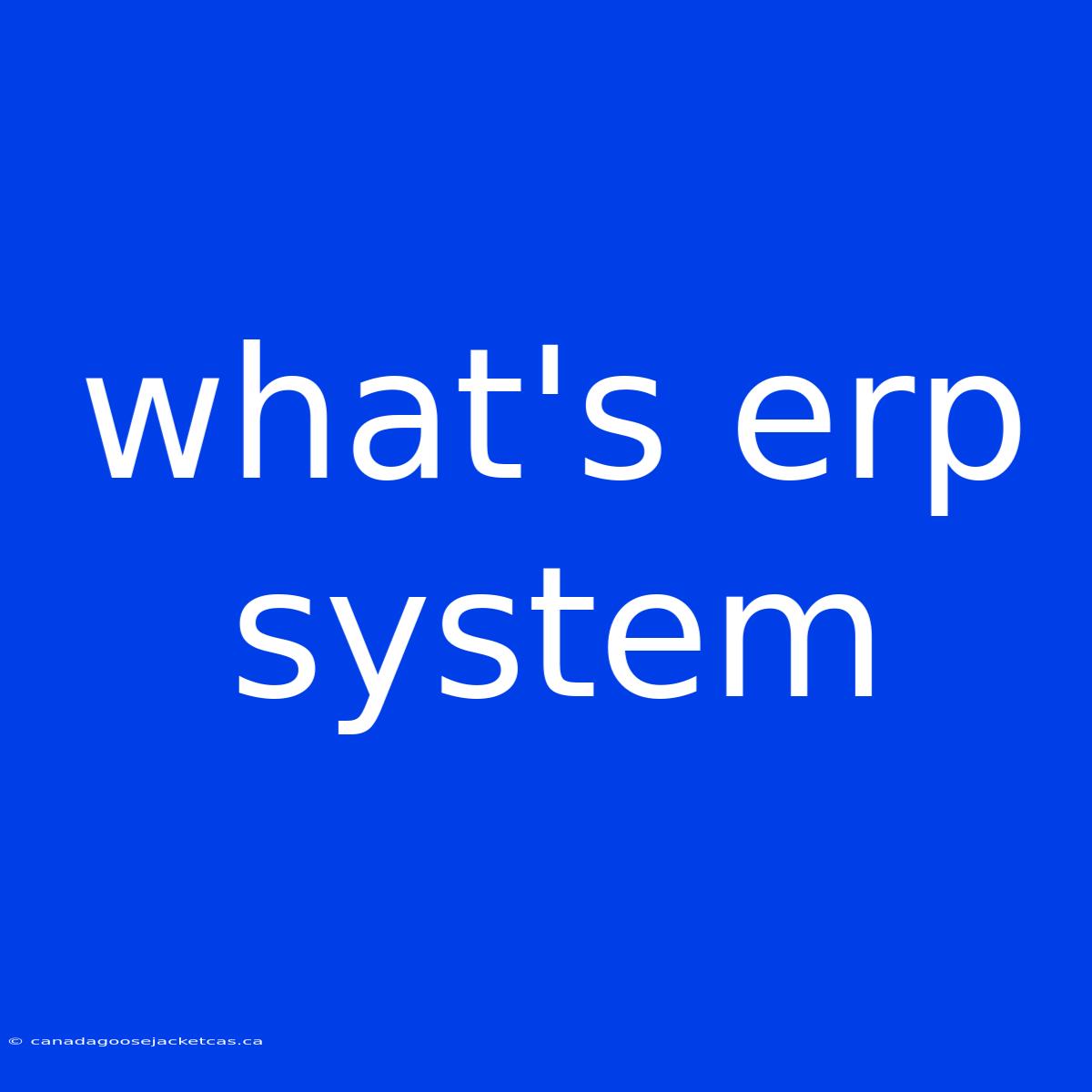 What's Erp System