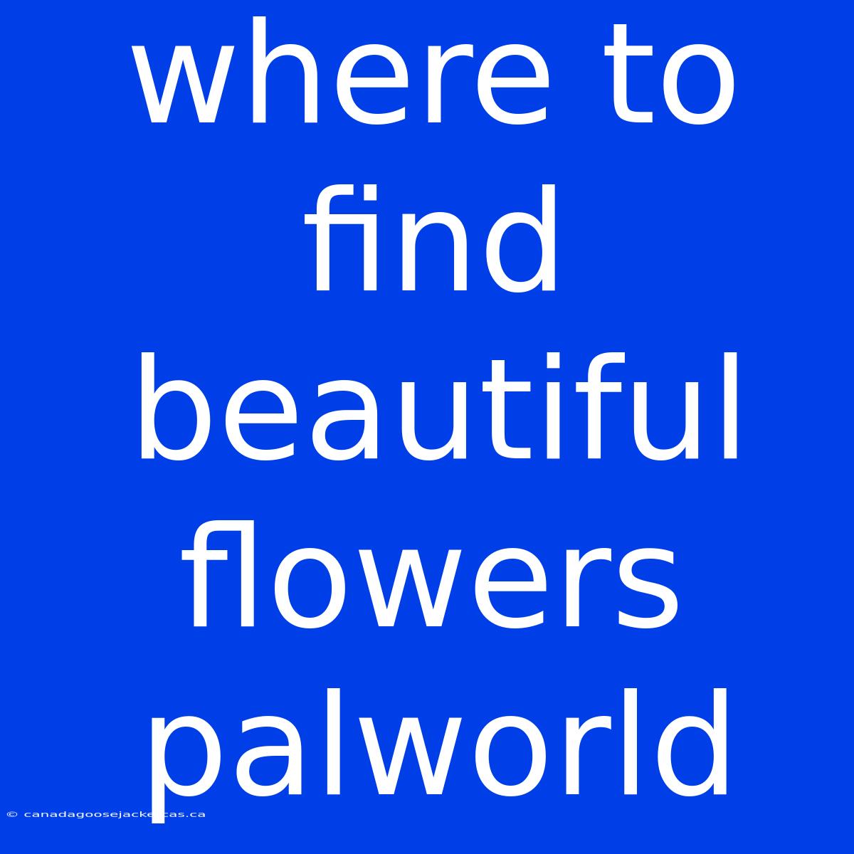 Where To Find Beautiful Flowers Palworld