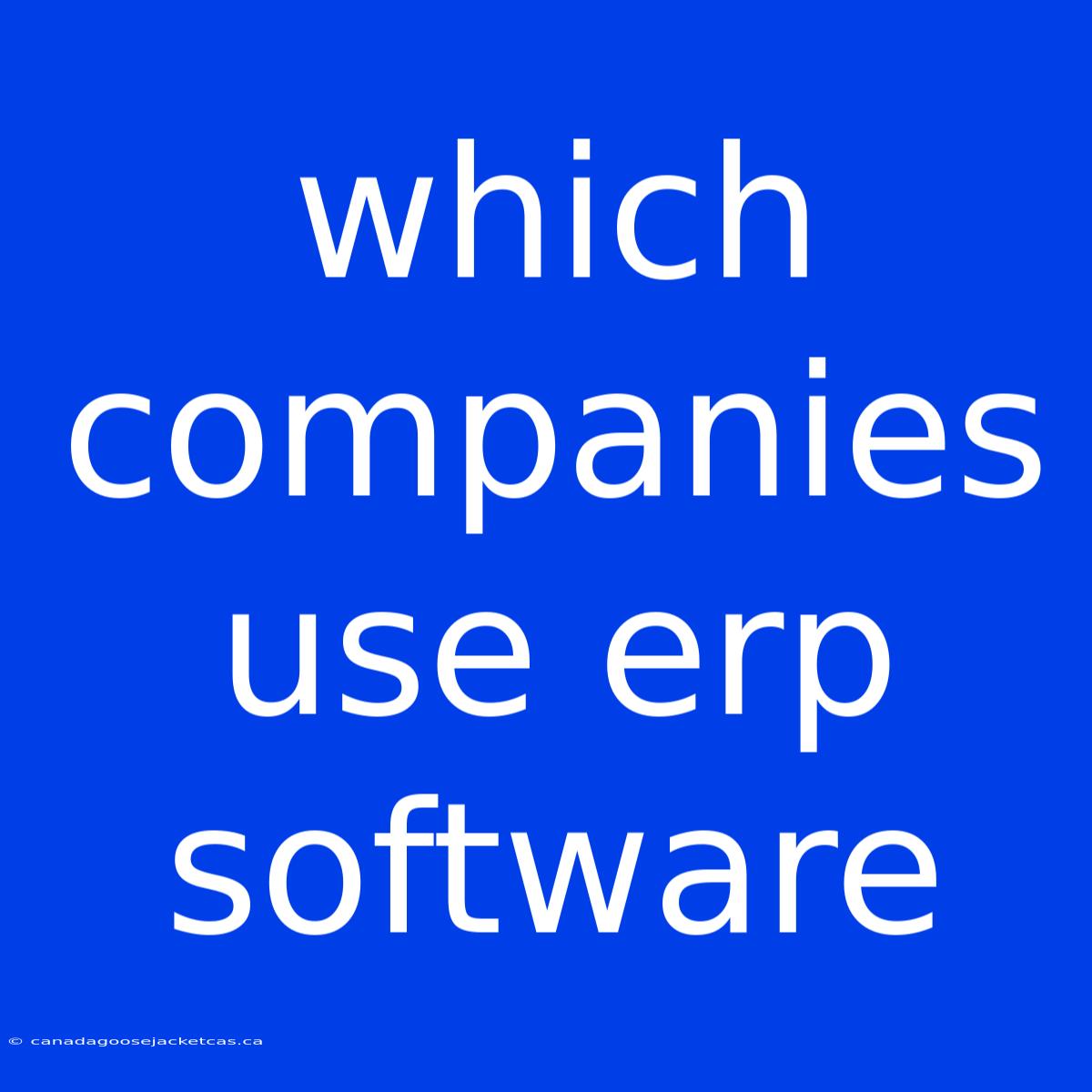 Which Companies Use Erp Software