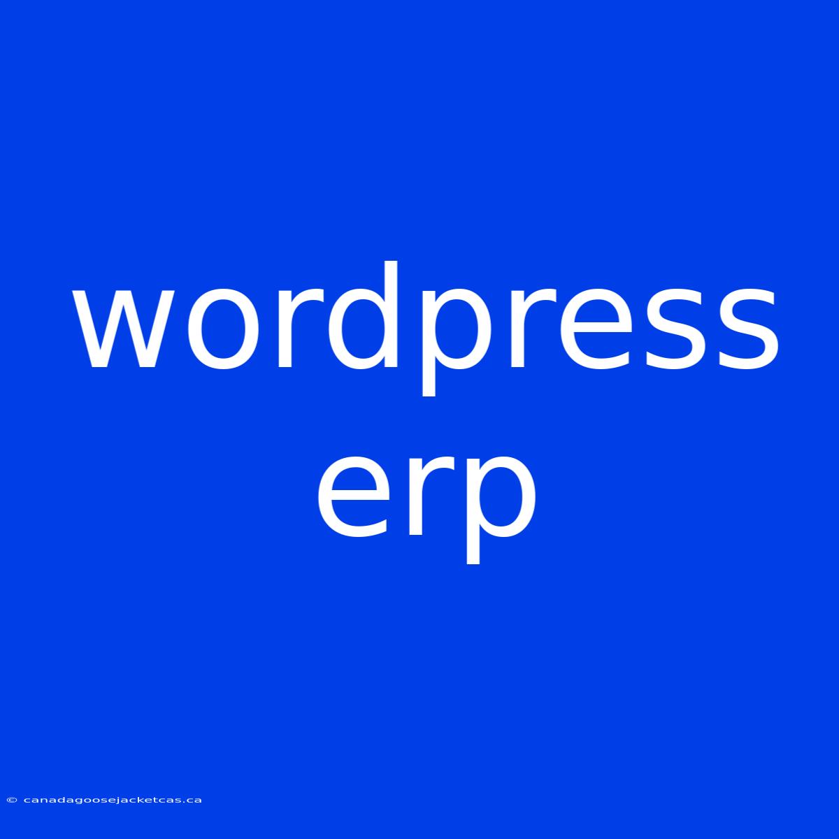 Wordpress Erp