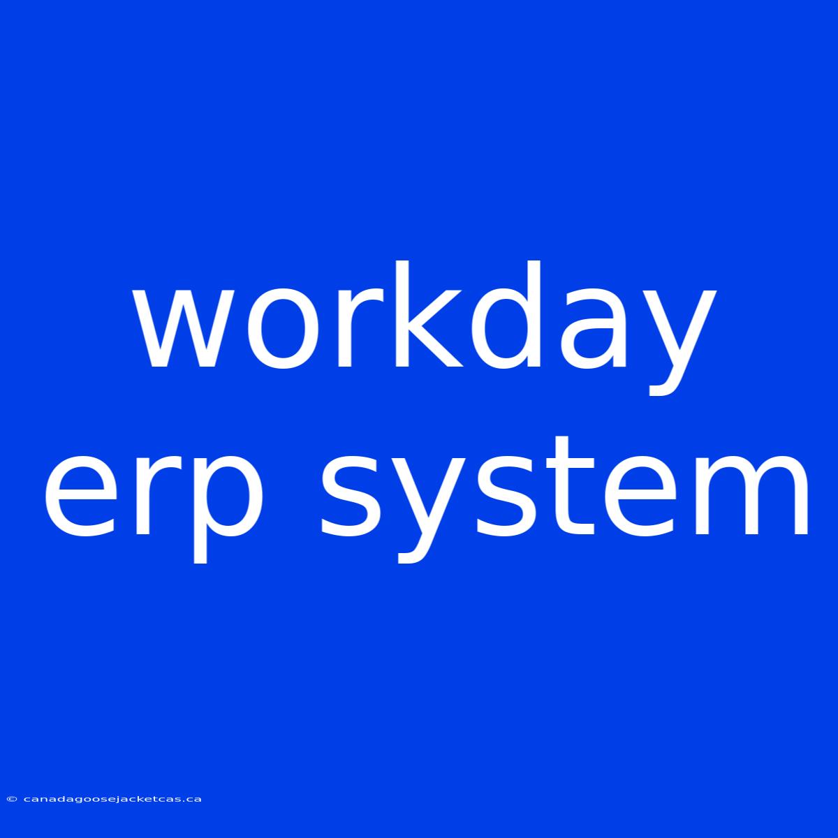 Workday Erp System