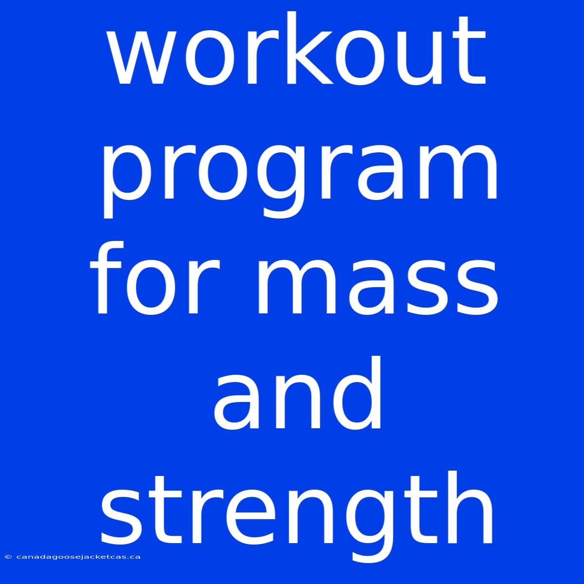 Workout Program For Mass And Strength